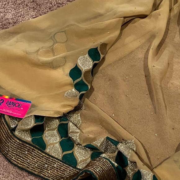 Pure Geogette embroidered designer Rangoli sequin saree - Picture 4 of 12